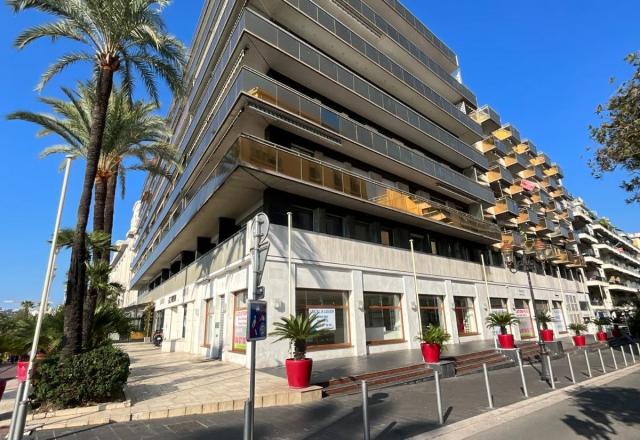 CITE IMMERSIVE NOMADE VIKING à NICE (06)