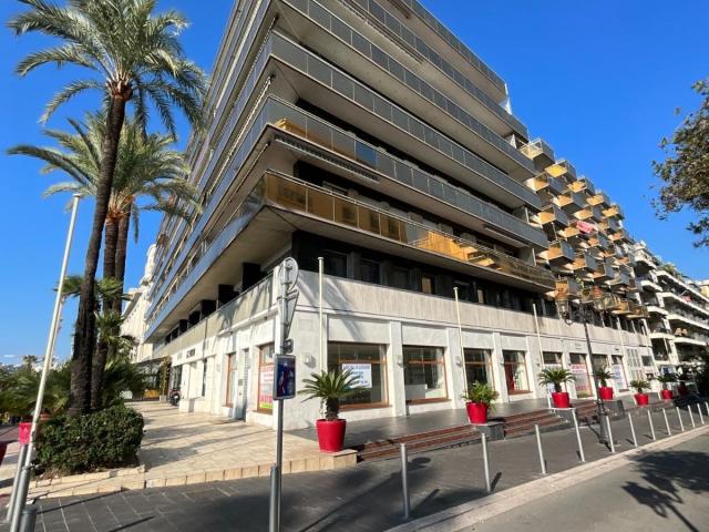 CITE IMMERSIVE NOMADE VIKING à NICE (06)