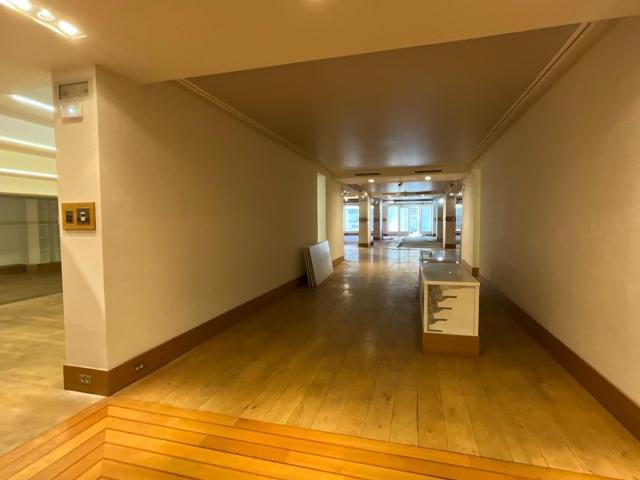 CITE IMMERSIVE NOMADE VIKING à NICE (06)